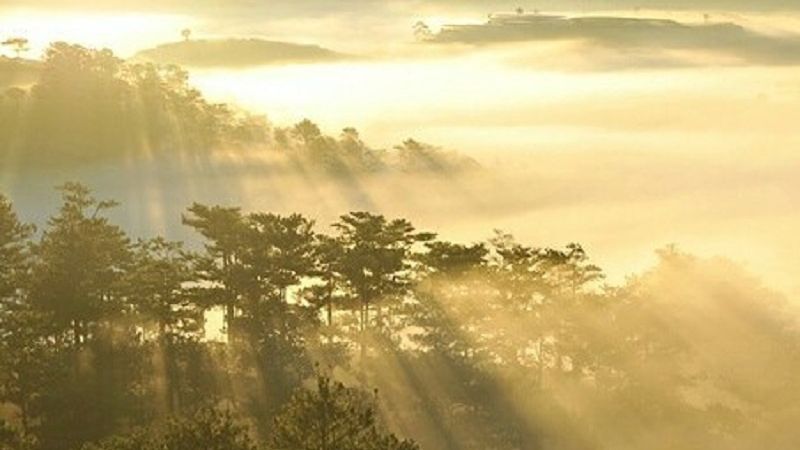 Đỉnh Hòn Bồ Đà Lạt