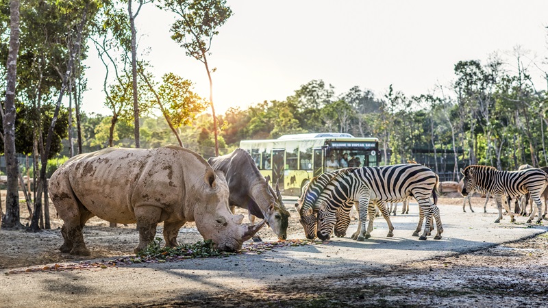 Vinpearl Safari Phú Quốc