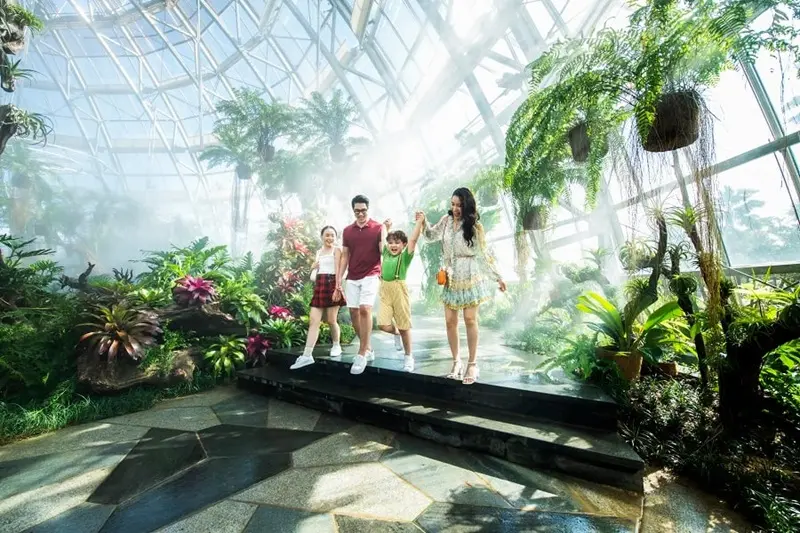 World Garden - Nơi giúp cho bạn đắm mình trong xứ vạn hoa rực rỡ