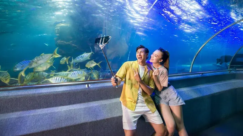 Sea World - Khám phá thế giới đại dương huyền bí