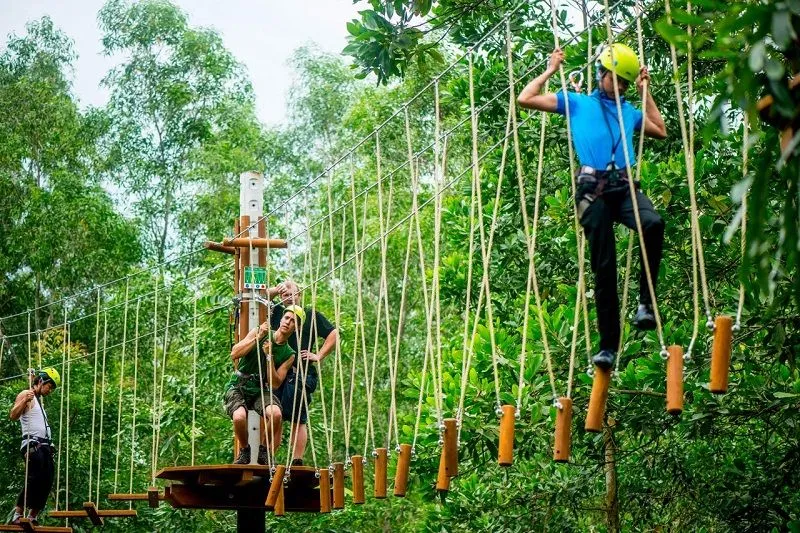 Zipline
