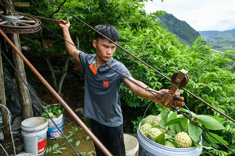 Tham quan Dãy núi Cai Kinh