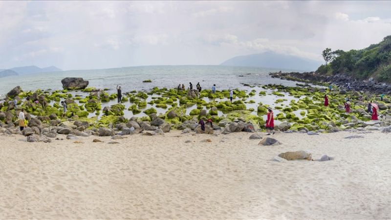 bãi biển đẹp nhất Sơn Trà