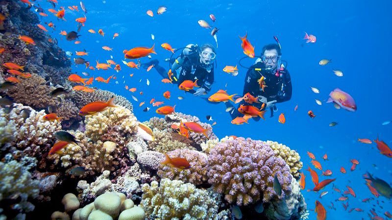 Bãi Xếp Cù Lao Chàm