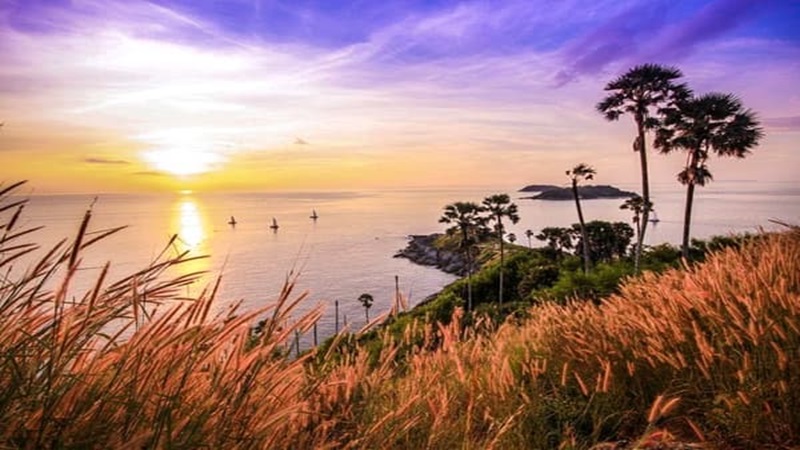 Đường đến Bãi Yên Ngựa Sơn Trà