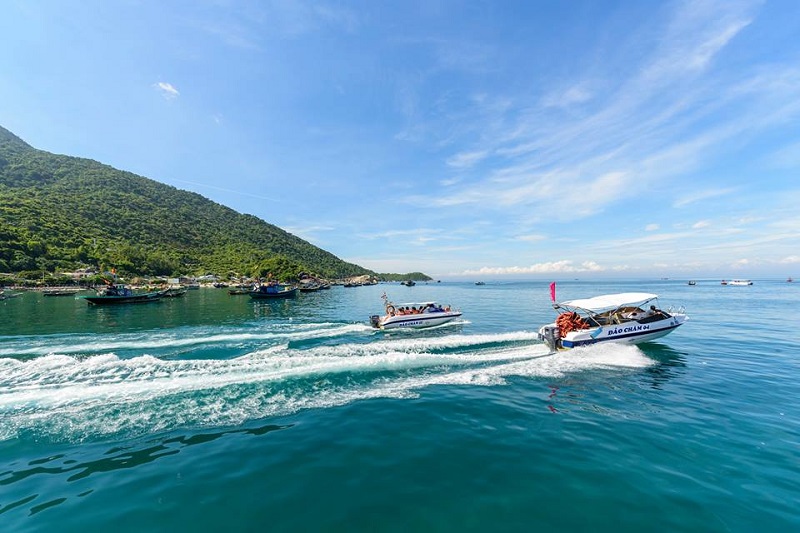 Tour Cù Lao Chàm 1 Ngày: Trọn Gói Từ A-Z Hot