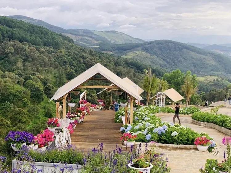 Cao Nguyên Hoa Đà Lạt