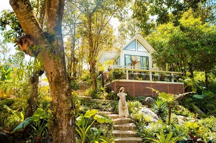 Check in sống ảo quên lối về