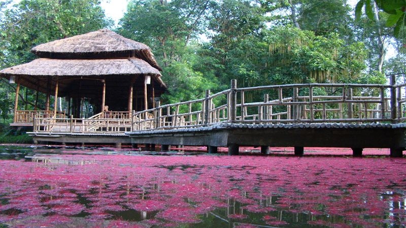 Chùa Từ Hiếu Huế