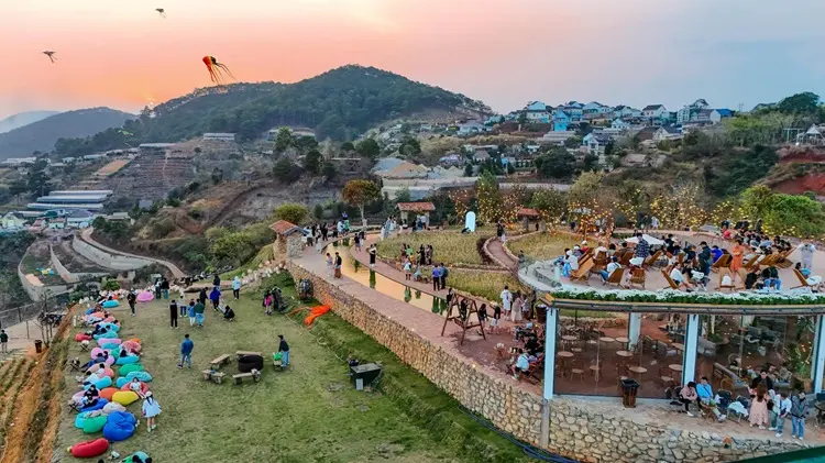 Thiết kế độc đáo