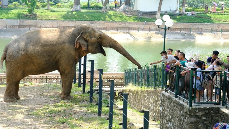Công Viên Thủ Lệ Hà Nội