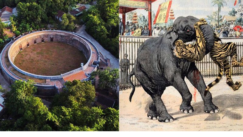 Đấu trường Hổ Quyền