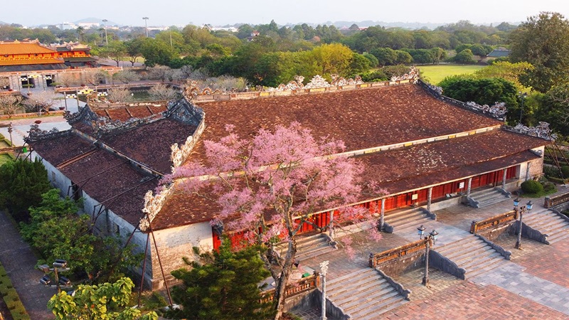 Điện Thái Hòa 
