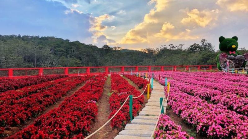 Các địa điểm du lịch có vị trí gần Đồi Đa Phú Đà Lạt