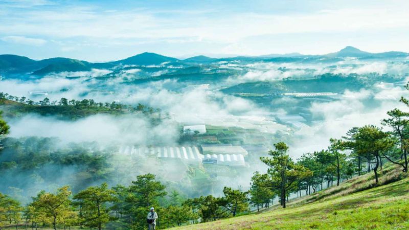 Đồi Đa Phú Đà Lạt