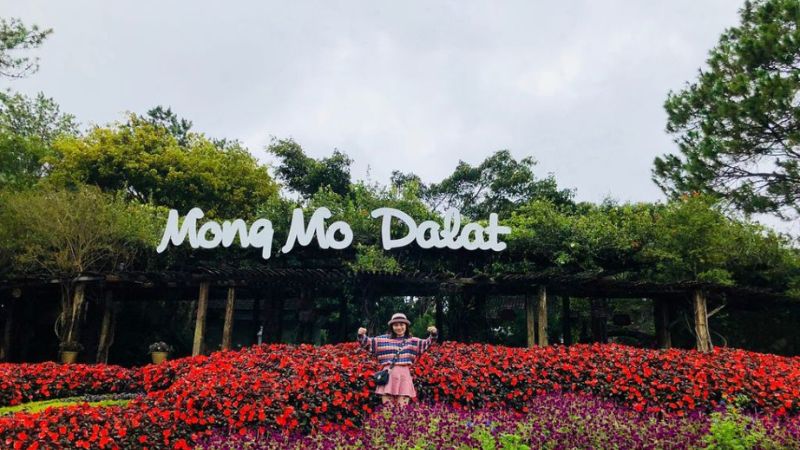Đồi Mộng Mơ Đà Lạt