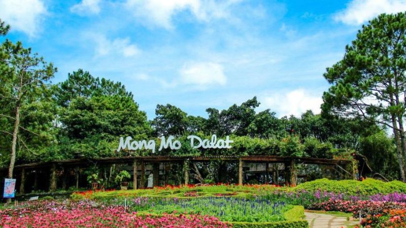Đồi Mộng Mơ Đà Lạt