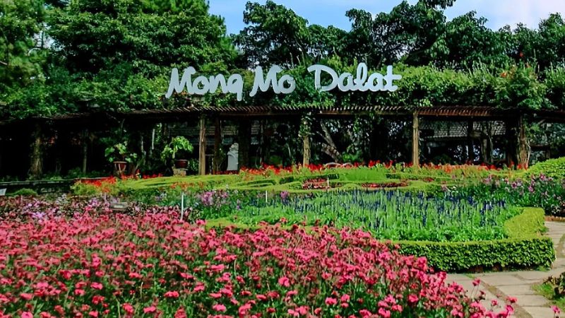 Đồi Mộng Mơ Đà Lạt