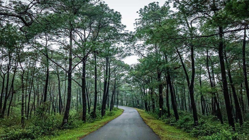 Đồi Thiên An Huế