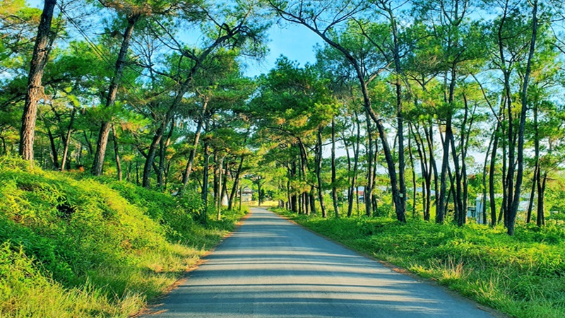 Đồi Thiên An Huế