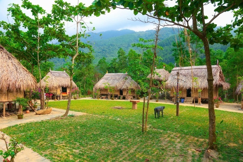 Suối Hoa - Nét Đẹp Tự Nhiên Tuyệt Vời tại Đà Nẵng