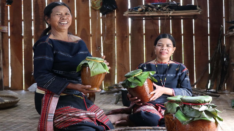 Thưởng thức rượu men rừng đặc biệt