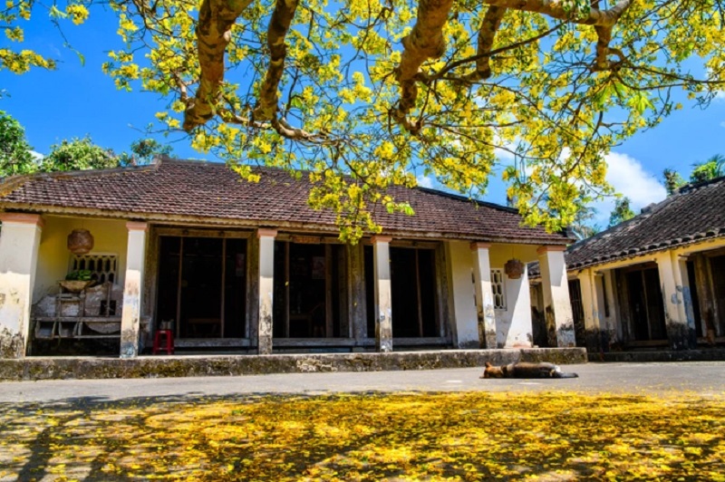 Làng Cổ Lộc Yên mùa thu