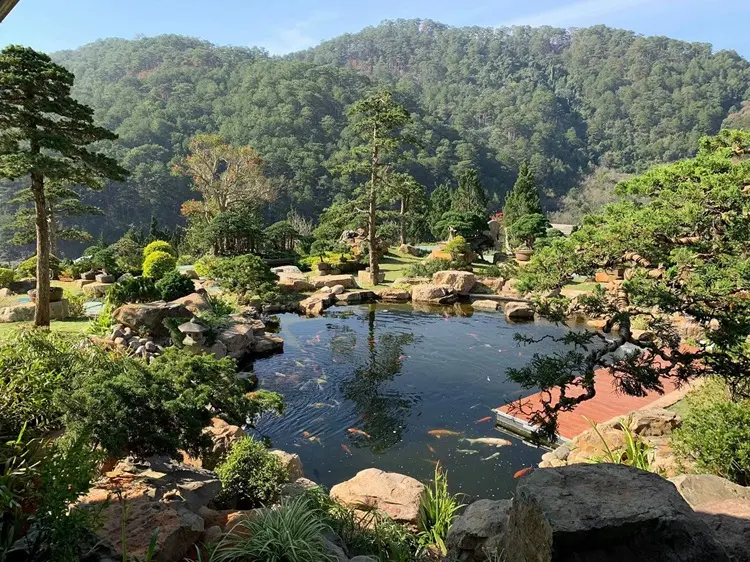 Chiêm ngưỡng Hồ cá Koi lớn