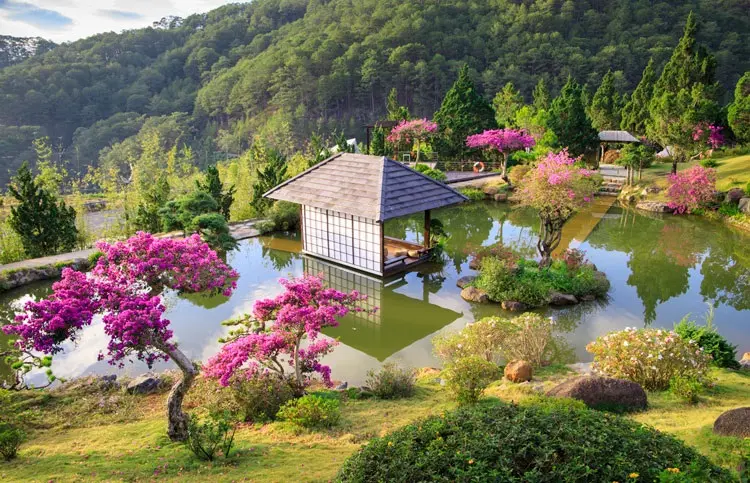 Vườn cây bonsai lá kim lớn