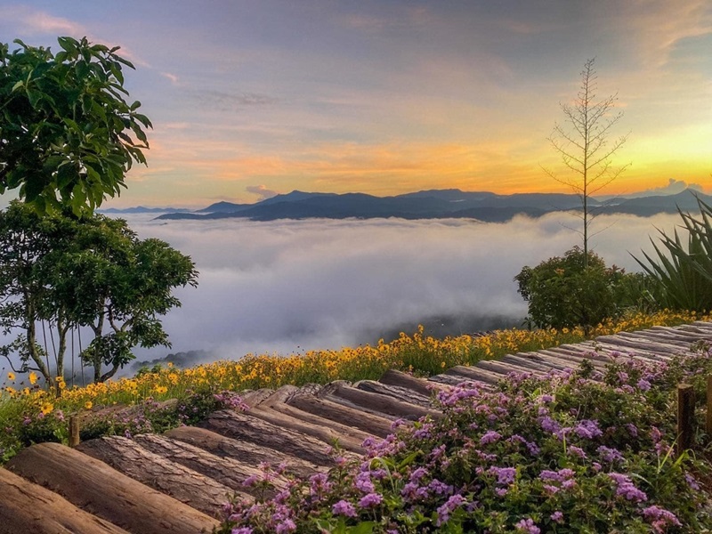 săn mây Đà Lạt