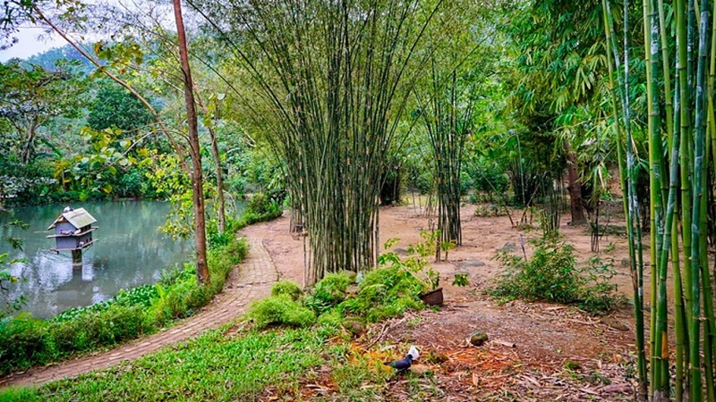 Sơn Trà Tịnh Viên - Đà Nẵng