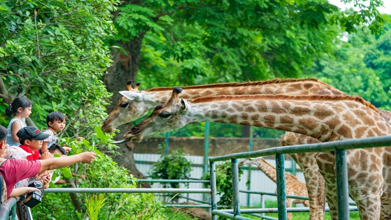 Thảo Cầm Viên Sài Gòn