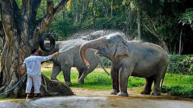 Thảo Cầm Viên Sài Gòn