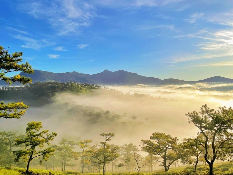 Thời tiết Đà Lạt tháng 1