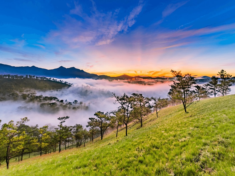 Thời tiết Đà Lạt tháng 2