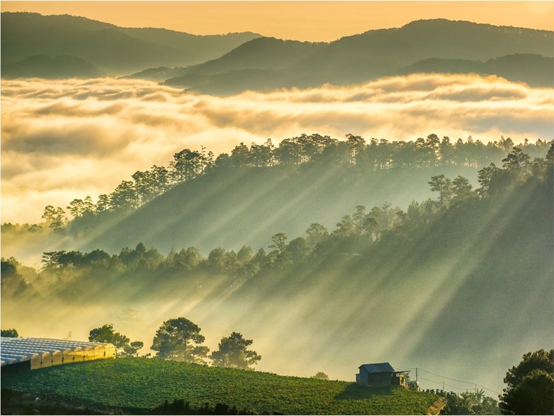 Thời tiết Đà Lạt tháng 5
