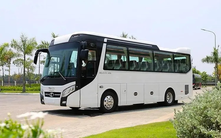 Tour Rừng Dừa Bảy Mẫu