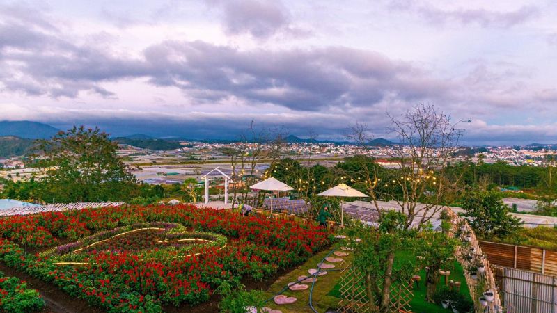 Vạn Thành Hill Coffee Đà Lạt
