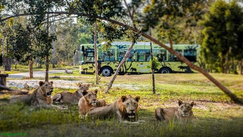 Vinpearl Safari Phú Quốc