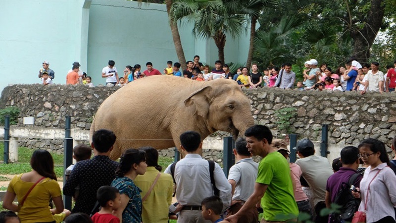 Vườn Bách Thú Hà Nội