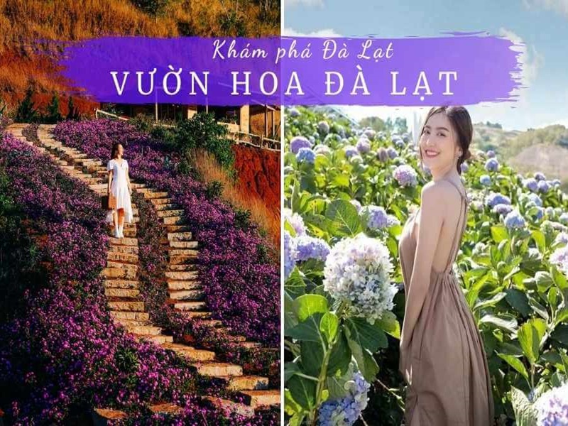 Đắm mình trong các khu vực vườn hoa thành phố Đà Lạt