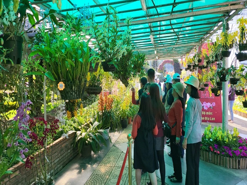 Tham gia hội hoa Xuân diễn ra hàng năm 