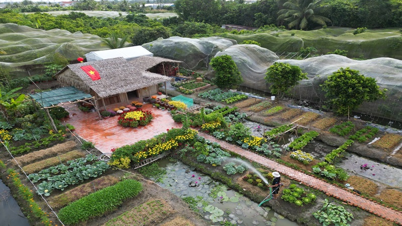 Vườn Miền Tây 