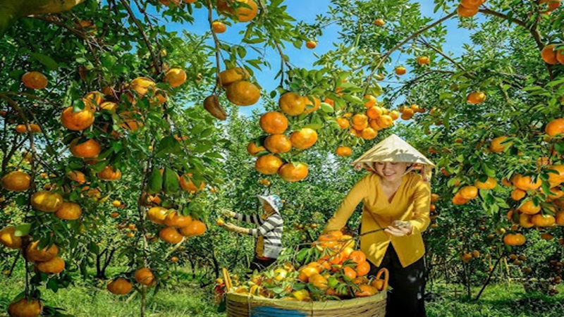 Vườn Miền Tây 