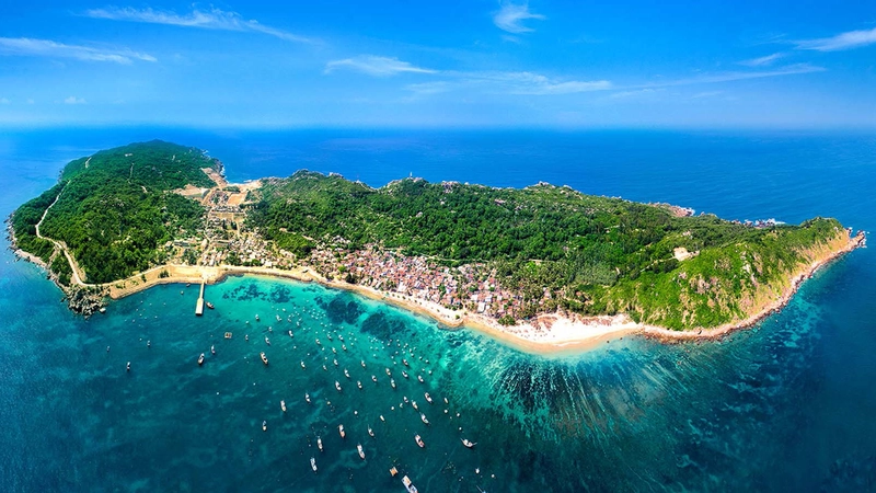 Tour Cù Lao Chàm 1 Ngày: Trọn Gói Từ A-Z Hot