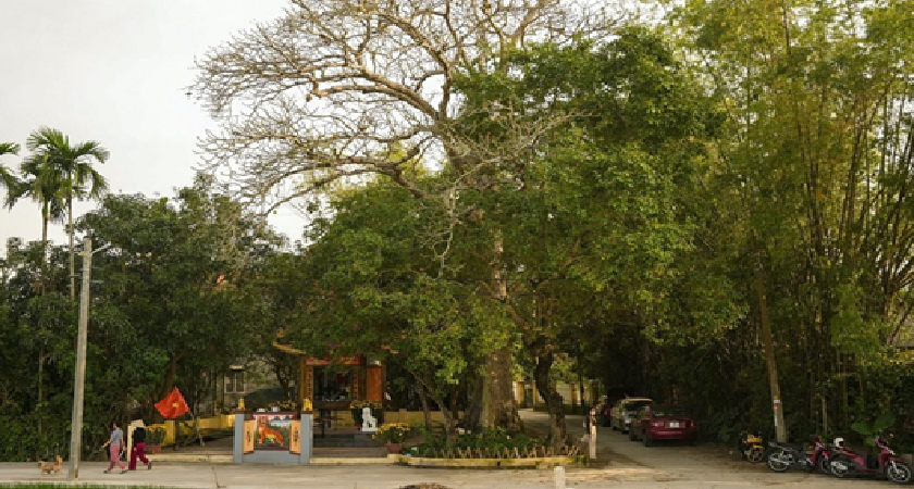 Làng Cổ Phong Nam Đà Nẵng: có gì hay, giá vé và kinh nghiệm tham quan 2026