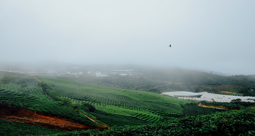Du lịch núi rừng Quảng Nam 2026: Cổng Trời Đông Giang, Hồ Phú Ninh, 6 điểm đẹp