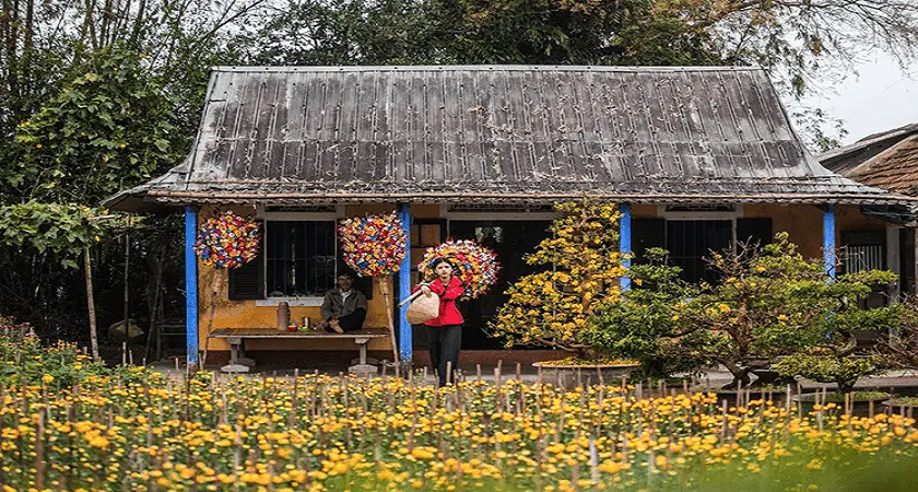 Làng Hoa Giấy Thanh Tiên Huế - Nét Đẹp Văn Hóa Truyền Thống 400 Năm