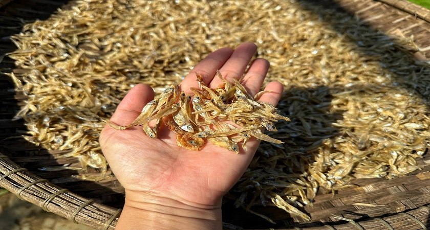 Khô Cá Cơm ( không xương) 500g