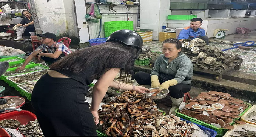 Top 9 chợ hải sản Đà Nẵng nổi tiếng với đa dạng sản phẩm tươi ngon